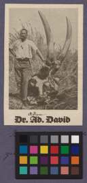 [Porträt von Adam David]