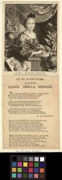 Maria Sibilla Merian