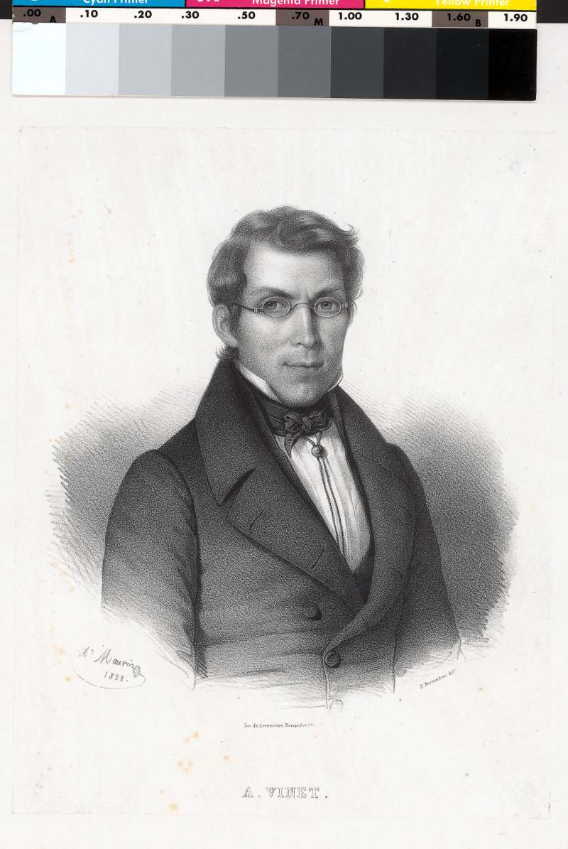 Buchumschlag - A. Vinet