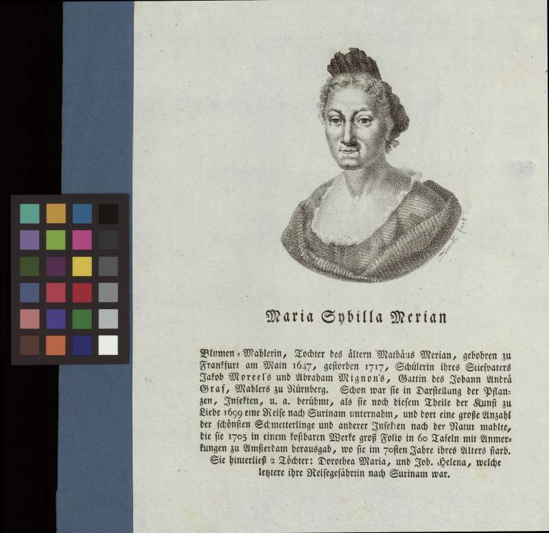 Buchumschlag - Maria Sibylla Merian