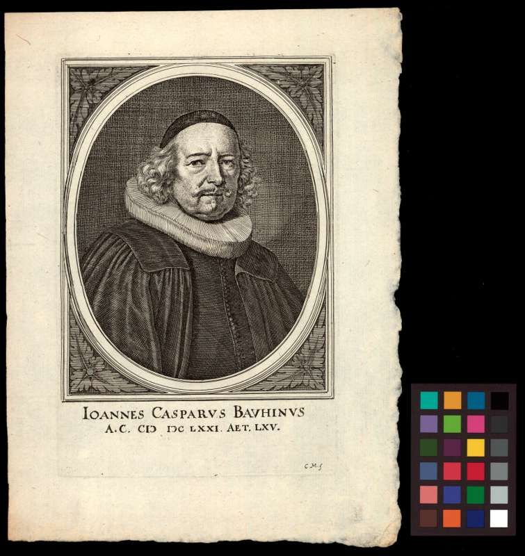 Buchumschlag - Ioannes Casparus Bauhinus