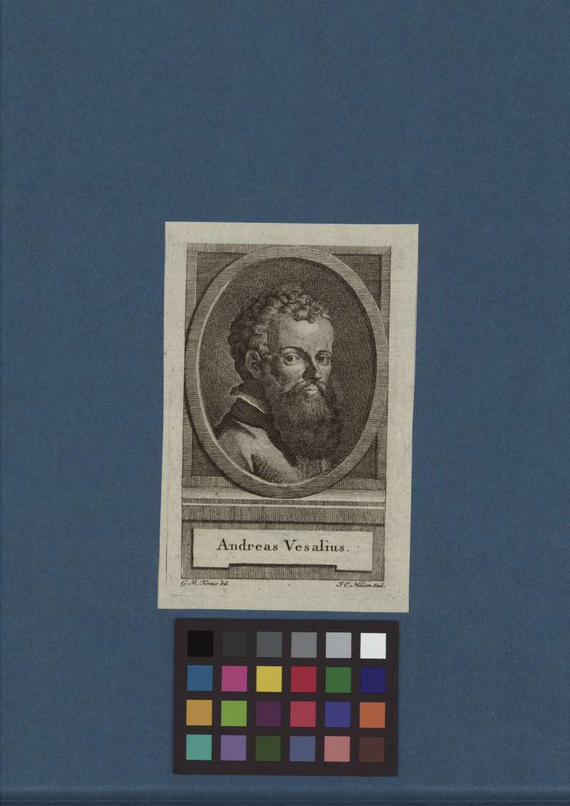 Buchumschlag - Andreas Vesalius