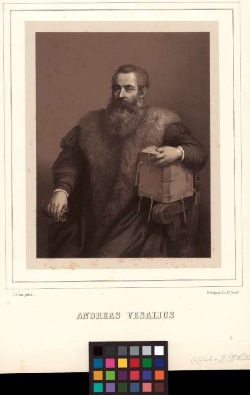 Buchumschlag - Andreas Vesalius